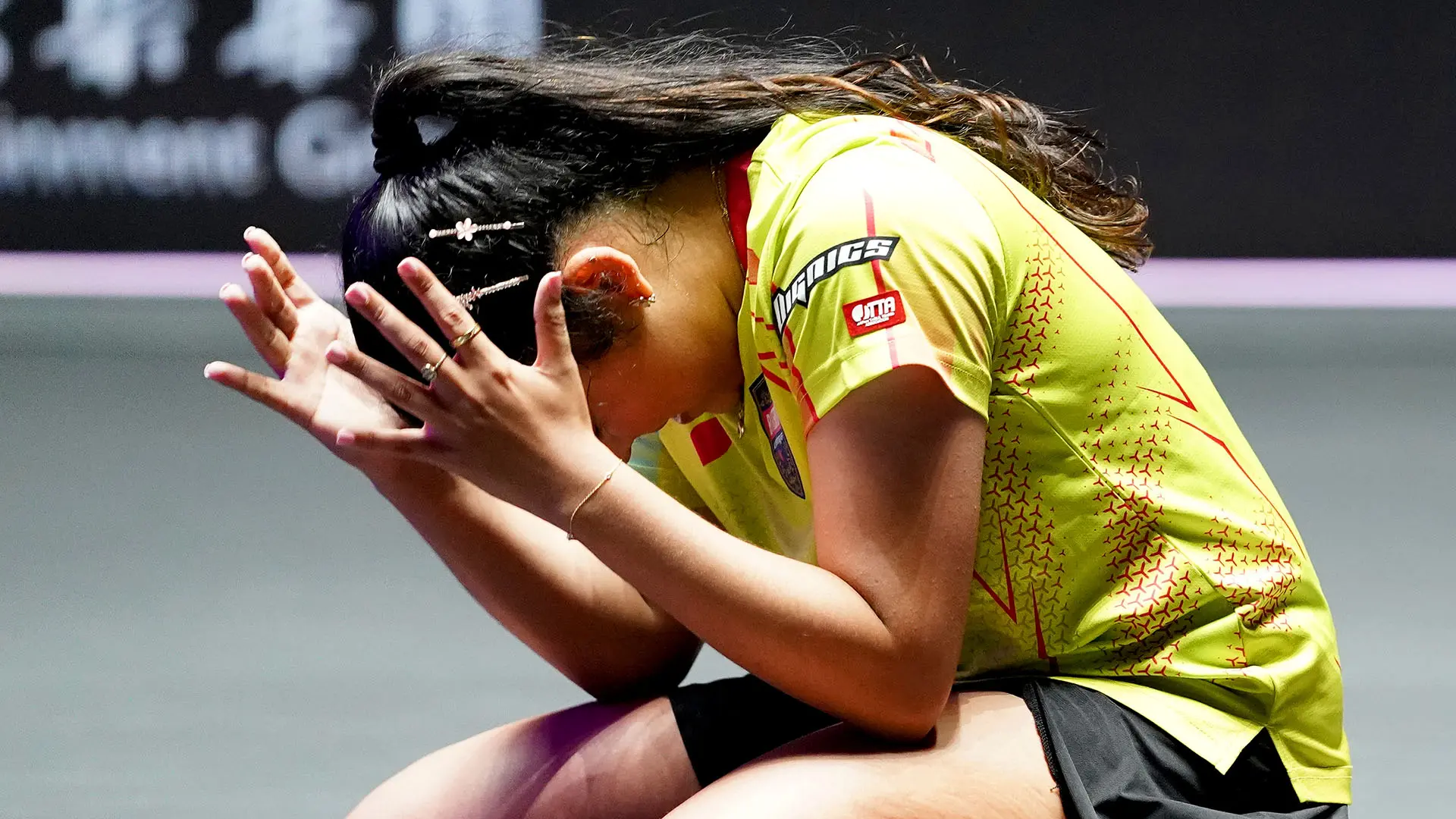 王艺迪, 张本美和, 高达 王艺迪, 张本美和, 高达